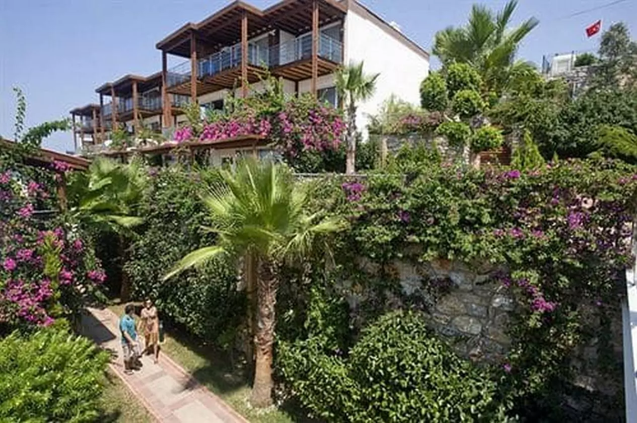 DELTABEACH_SHABAVIZ (6).jpg